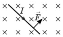 0801cffp-fd50-218x130.png