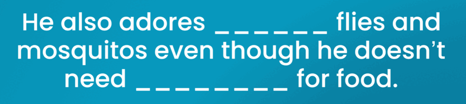 0801cgoq-0ae2-940x211.png