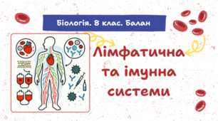 Лімфатична та імунна системи. 8 клас НУШ