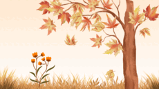 0801chsu-5541-230x129.png