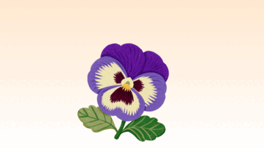 0801ci7o-c425-379x213.png