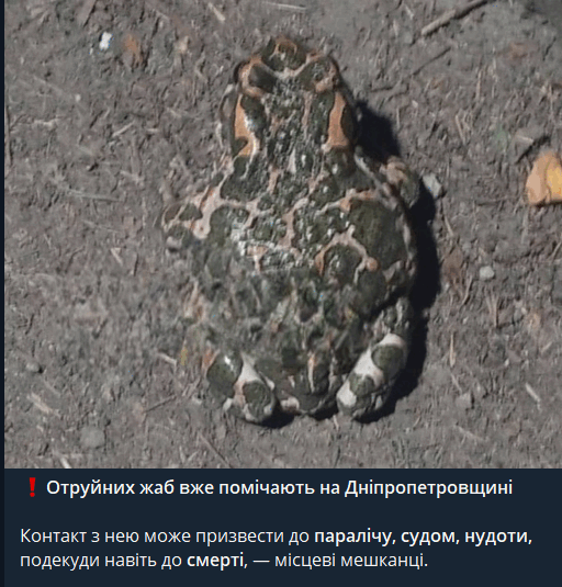 0801ckuh-9881-512x535.png