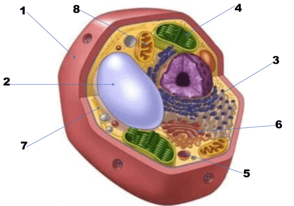 0801ctaf-886e-940x661.png