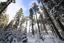 0801cubq-9897-940x627.jpg