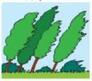 0801cv96-ec53-116x102.jpg