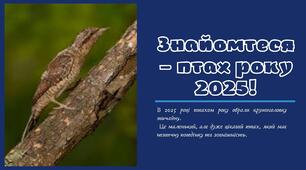 Знайомтеся – птах року 2025!