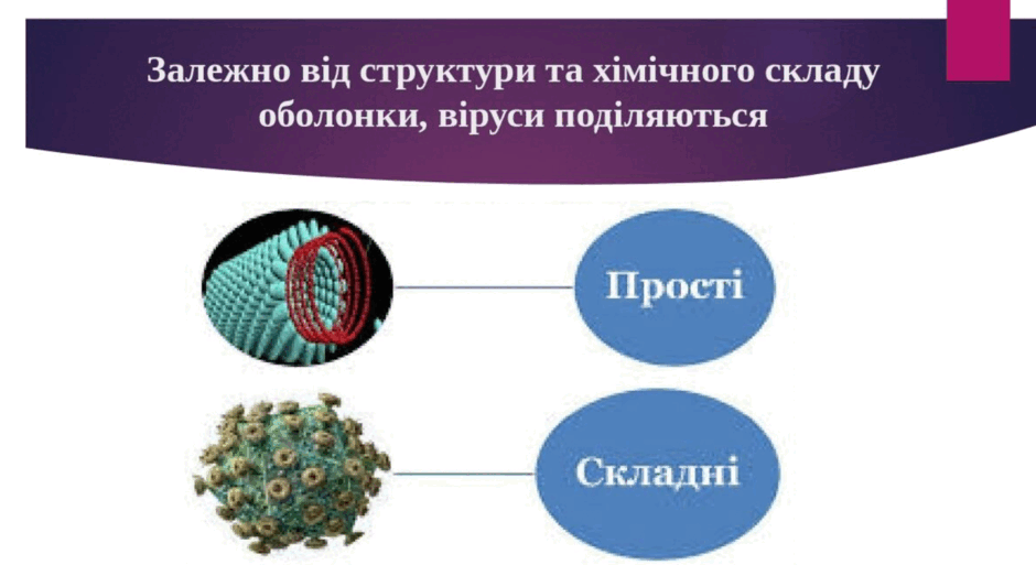 0801cxr9-8394-940x513.png