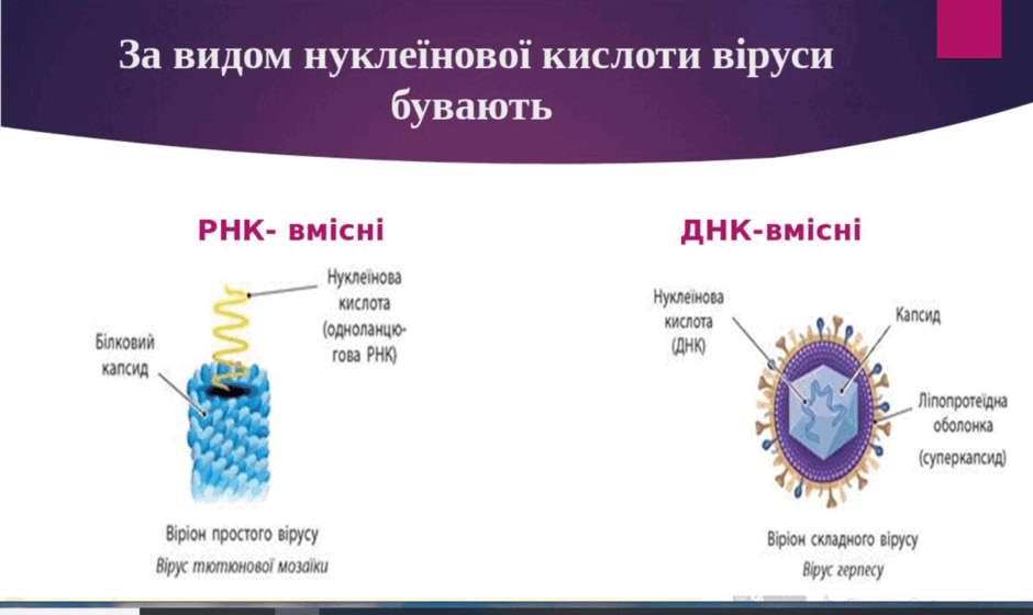 0801cxs1-b0e6-940x560.png