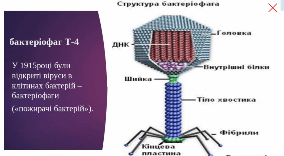 0801cxtd-8c40-940x518.png