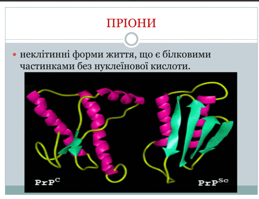 0801cxvb-3c25-868x666.png