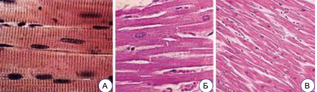 0801cxvv-d76b-630x184.png