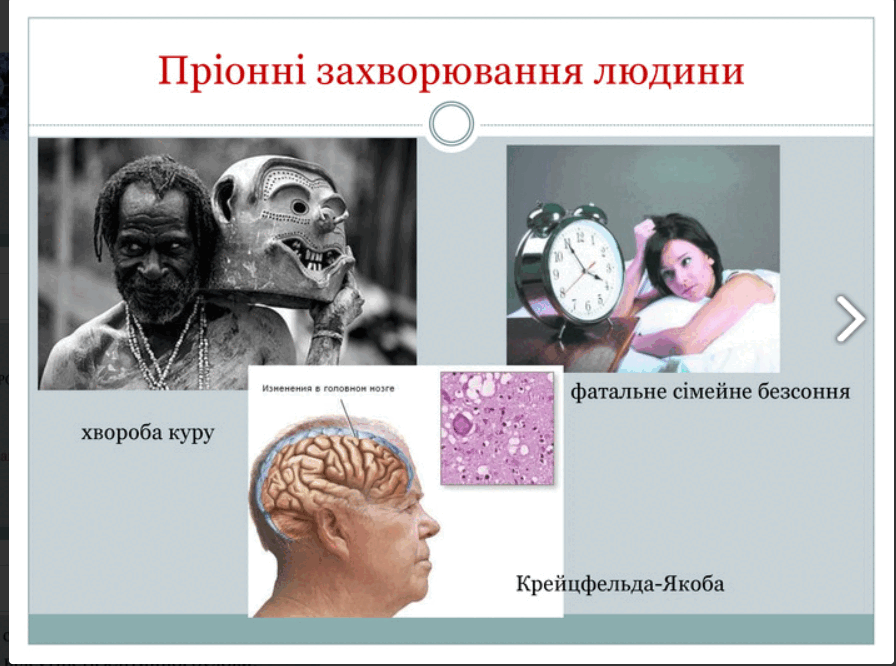 0801cxws-a31e-896x666.png