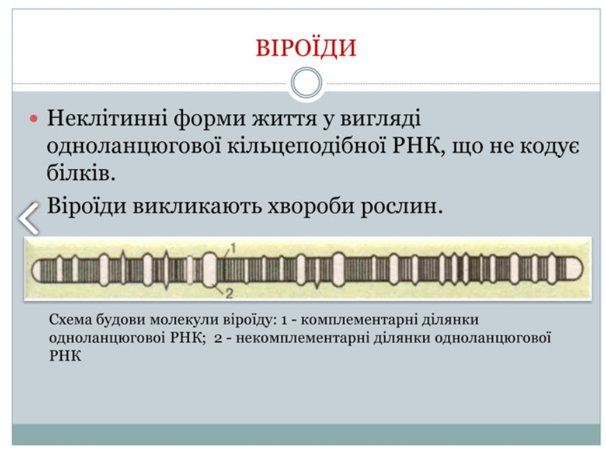 0801cxy1-a890-871x648.png