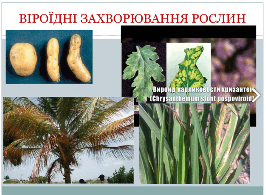 0801cxy5-e7ab-860x632.png