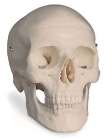 0801d0cs-3c89-212x282.png