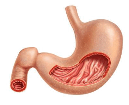 0801d0d5-46e2-261x212.png