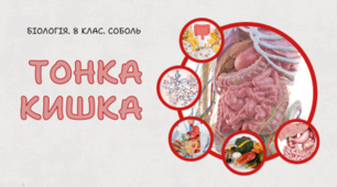 Тонка кишка. 8 клас НУШ