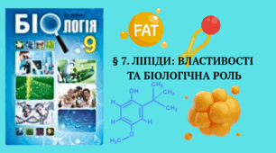 Ліпіди: властивості та біологічна роль