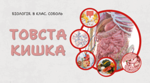 Товста кишка. 8 клас НУШ