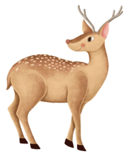 0801d4cd-e9da-186x234.png