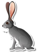 0801d4dj-ca59-157x213.png