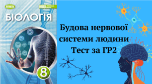 Будова нервової системи. ГР2 8 клас НУШ