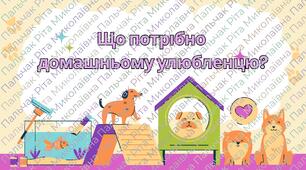 Що потрібно домашнім улюбленцям?