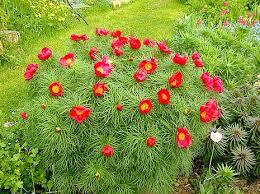 0801d8hc-d9b6-260x194.jpg