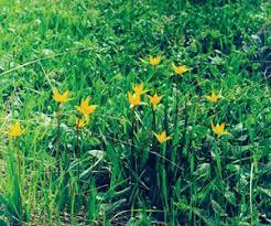 0801d8hx-f5b6-246x205.jpg