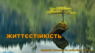 Презентація "ЖИТТЄСТІЙКІСТЬ" 8 клас. НУШ