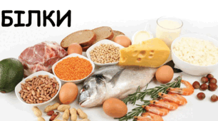 Білки