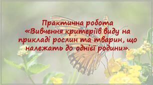 Практична робота «Вивчення критеріїв виду на прикладі рослин та тварин, що належать до однієї родини».