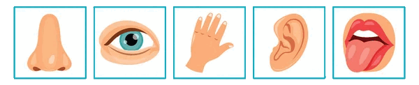0801decq-904b-600x122.png
