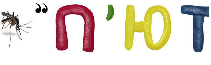 0801dhqy-bfcd-813x250.png