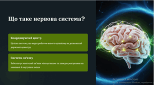Нервова система людини: Центральна та периферична