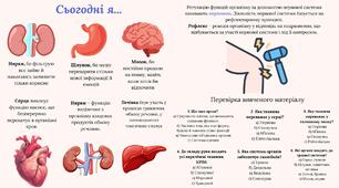 Органи, система органів організму людини
