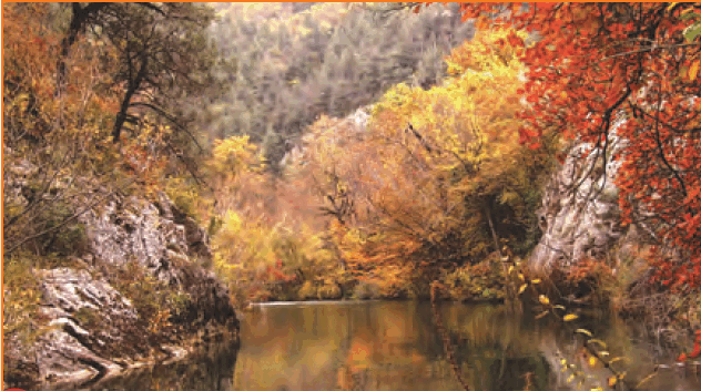 0801djsl-0875-632x353.png