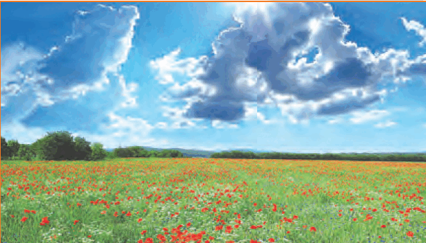 0801djss-4a0b-613x351.png