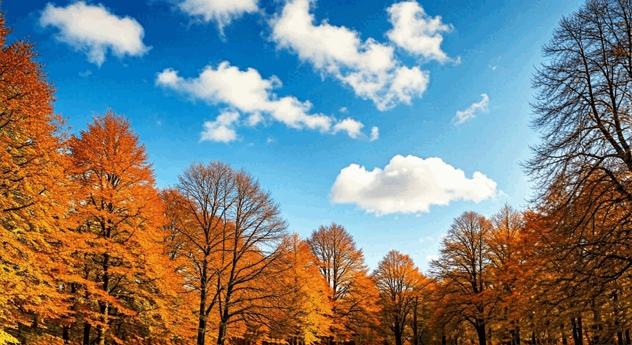 0801dk9k-06ef-920x502.png
