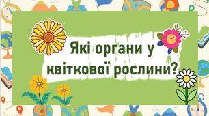 Які органи у квіткової рослини?