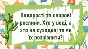 Водорості та спорові рослини. Хто у воді, а хто на суходолі та як їх розрізнити?