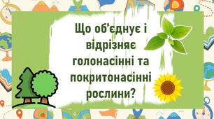 Що об’єднує і відрізняє  голонасінні та покритонасінні рослини?