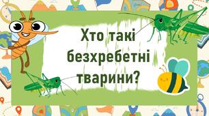 Хто такі безхребетні тварини?