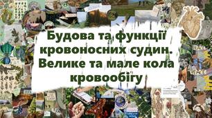 Будова та функції кровоносних судин. Велике та мале кола кровообігу