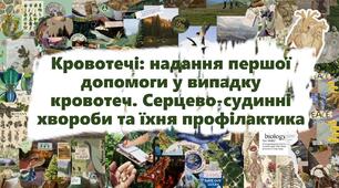 Кровотечі: надання першої допомоги у випадку кровотеч. Серцево-судинні хвороби та їхня профілактика