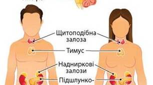 Конспект уроку. Біологія 8 клас. НУШ. Тема уроку  :Гуморальна регуляція