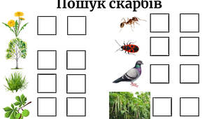 "Пошук скарбів"