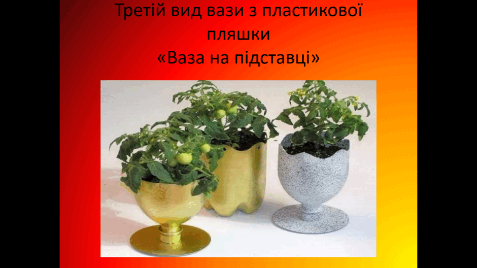 0801dogn-e6af-940x528.png