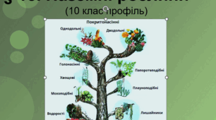 § 15. Наземні рослини
