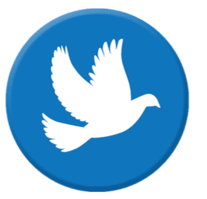0801dq0b-7b9c-294x282.png